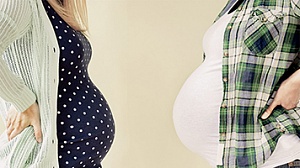 Surrogate motherhood has been brought to the legal field
