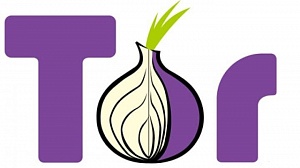 Рост числа пользователей сети Tor - следствие закона о блогерах
