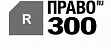 Российский рейтинг юридических фирм “Право.ru-300”