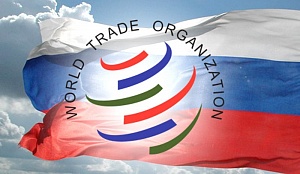 Россия сможет подать встречный иск в ВТО в связи с санкциями